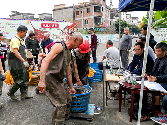 壹周美图：春耕忙、繁华景，春去夏将至