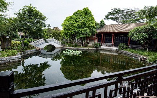 雨后的顺峰山公园