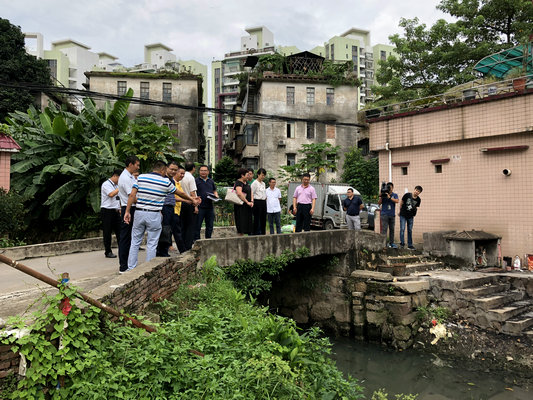 大良：督促建言，人大代表聚焦河涌整治