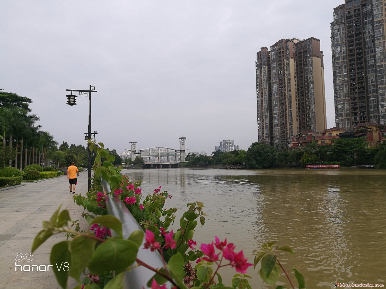 容桂河滨，风景如画