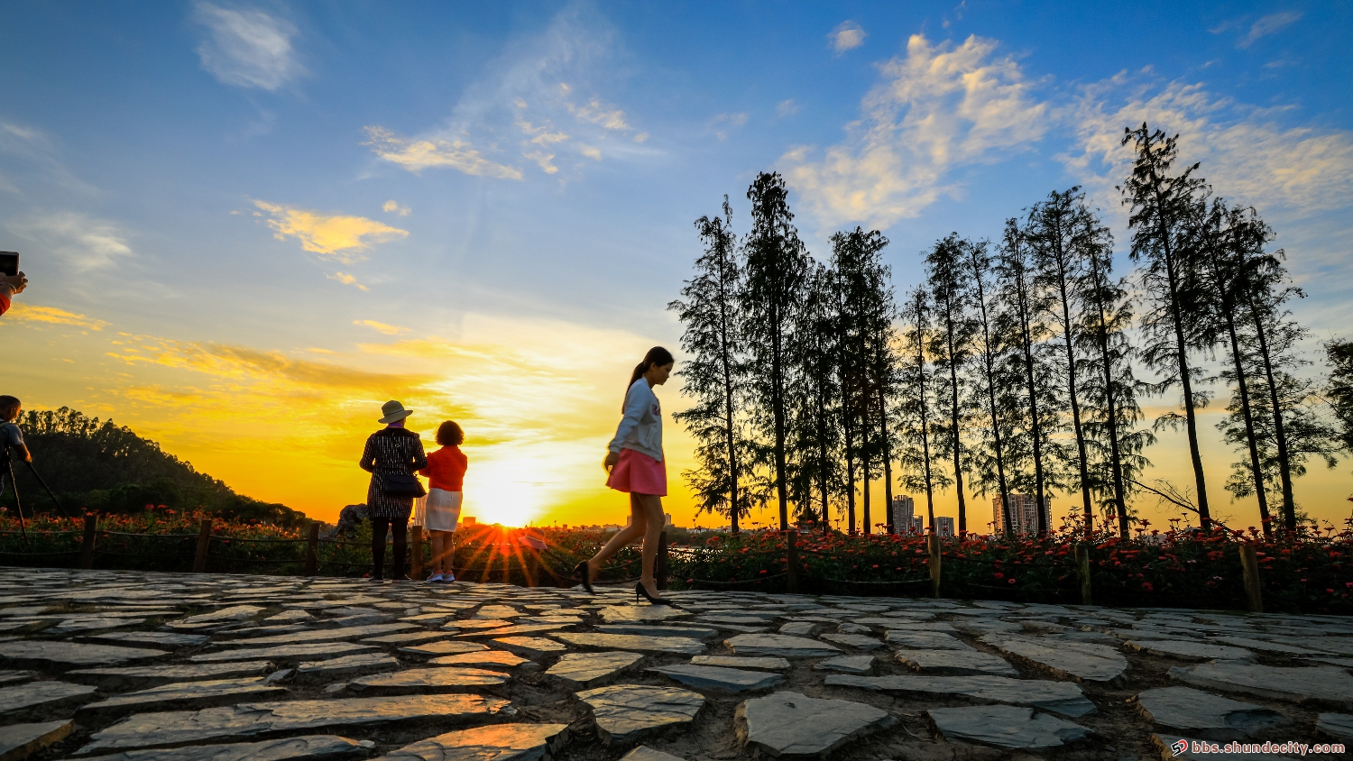 深秋季节里的顺峰山公园晚霞