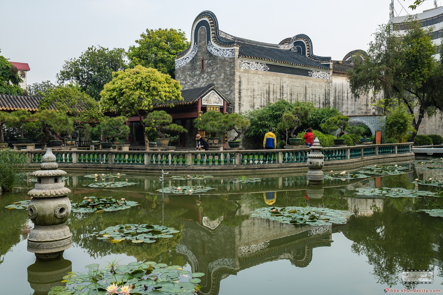 秀外惠中-顺德十大古建之碧江金楼