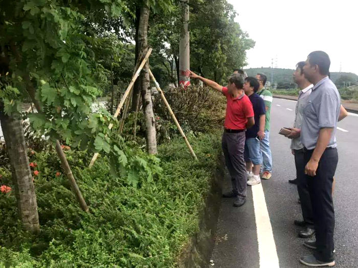 龙江：管养单位交叉巡查，提升绿化水平