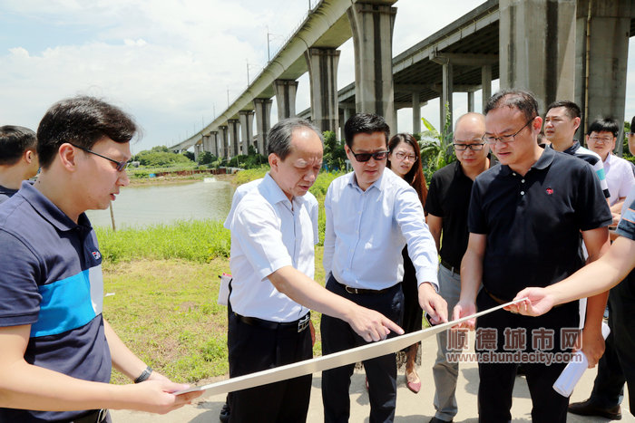 市委常委、顺德区委书记郭文海率队实地调研顺德港片区规划情况。 （顺德档案馆 叶伟涛摄）.jpg