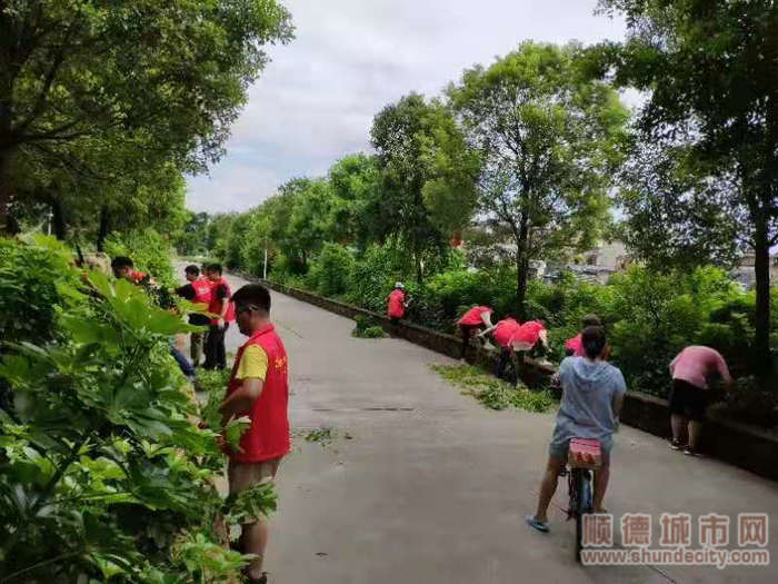 马东村志愿者清楚路边杂草_副本.jpg