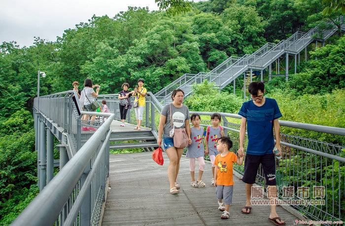 华盖山栈道 SD自由鸟.jpg