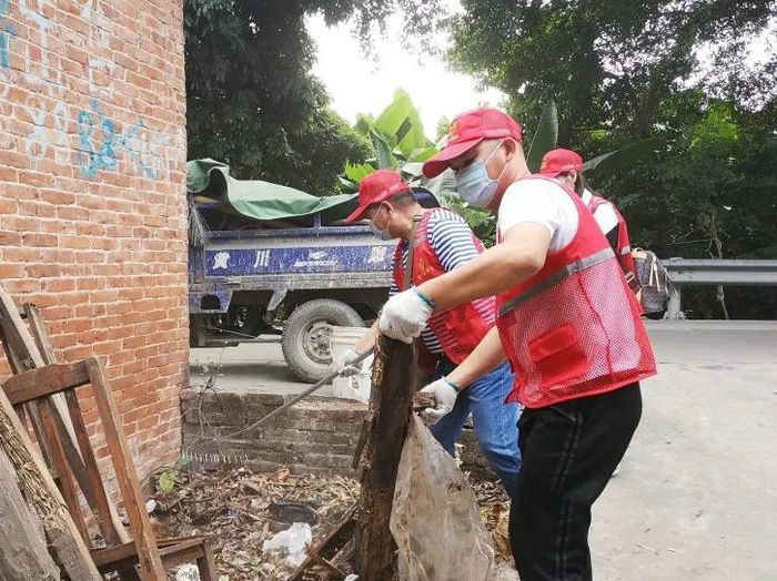 伦教青年：争当“河小清”，家园更美丽