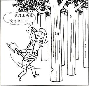 有虫的木头漫画作文的题目