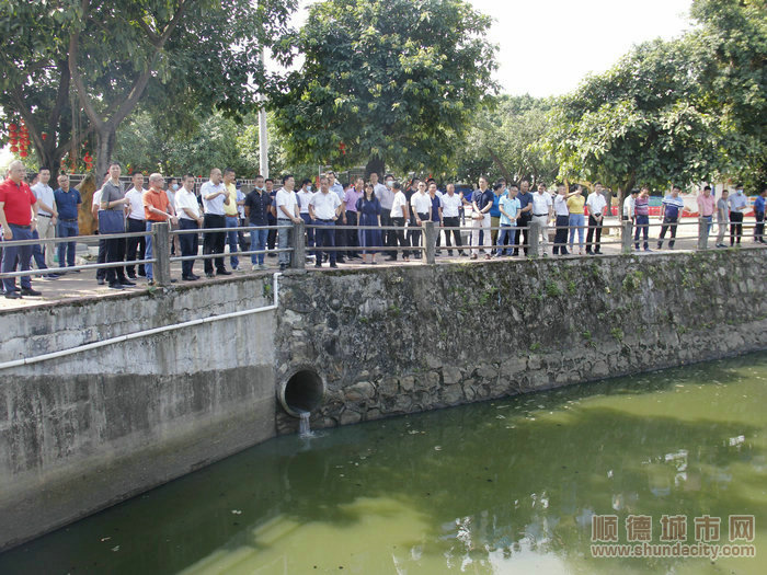 龙江组织各部门、村居巡查河涌问题。.JPG