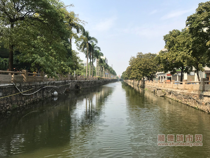 陈村河现状_副本加水印.jpg