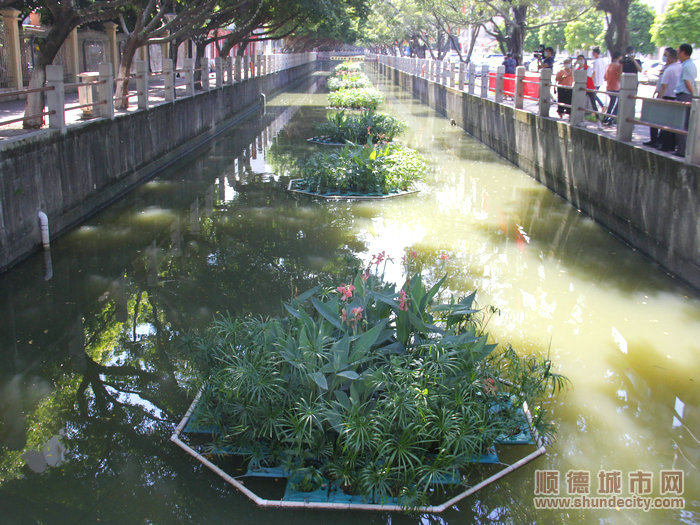 “水中绿岛”景观。.JPG