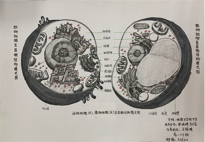 图片21 - 副本.png