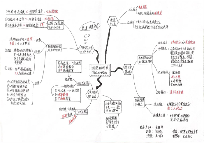 图片24 - 副本.png