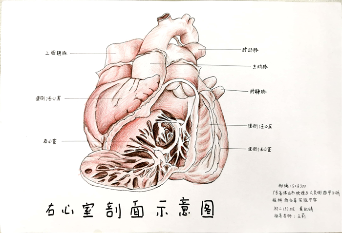 图片38 - 副本.png