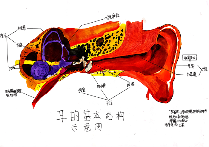 图片47 - 副本.png