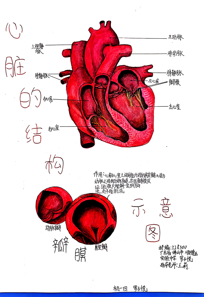 图片46 - 副本.png