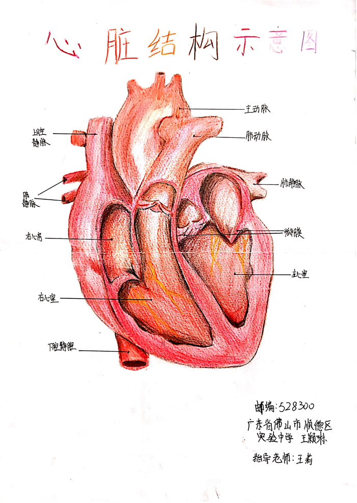 图片45 - 副本.png