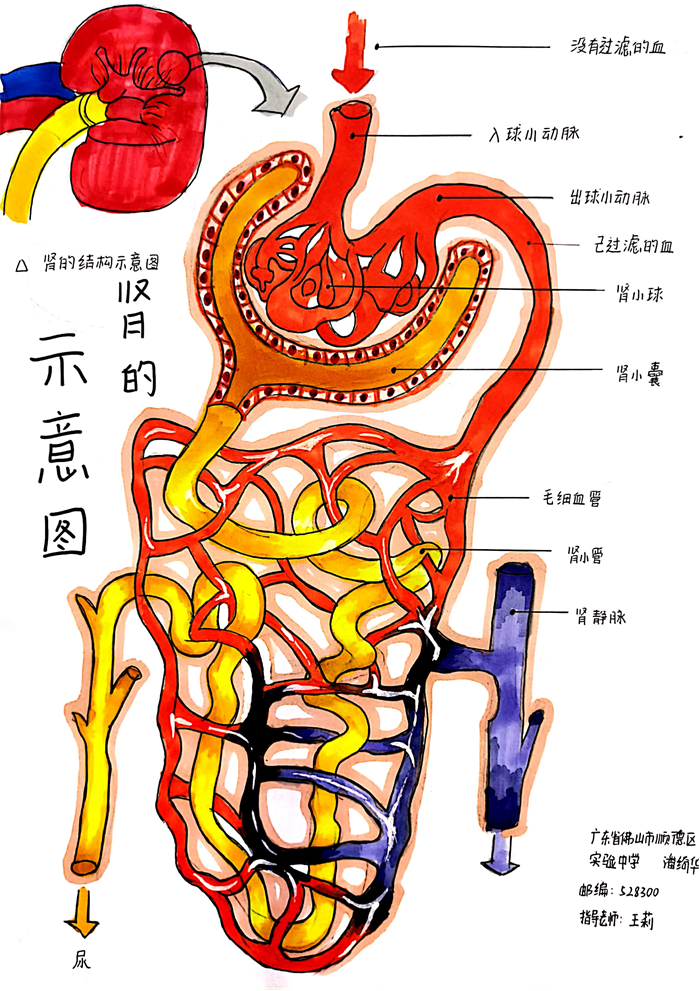 图片51 - 副本.png