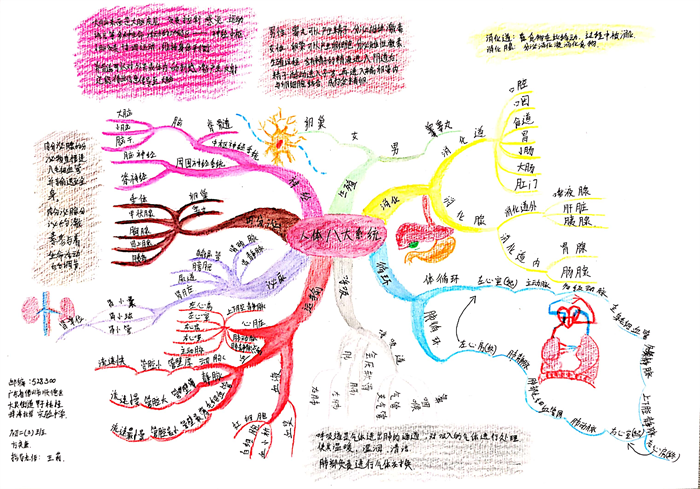 图片54 - 副本.png