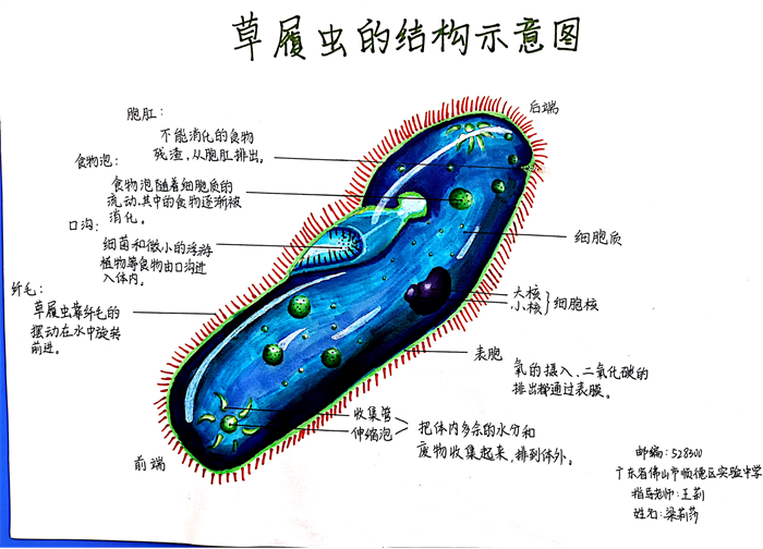 图片53 - 副本.png