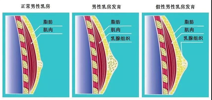 微信图片_20211109105055.jpg