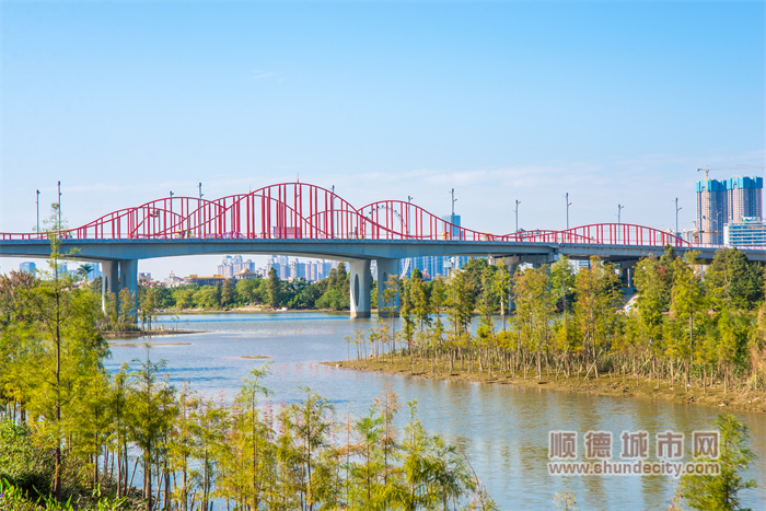 高楼林立，铺路架桥，桂畔海河却依旧保留原始水乡魅力 顺德城市网摄影俱乐部“五个轮”摄.jpg