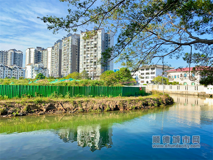 细海河水清岸绿，是人们休闲的好去处。（摄顺德城市网摄影俱乐部“Leying”）.jpg