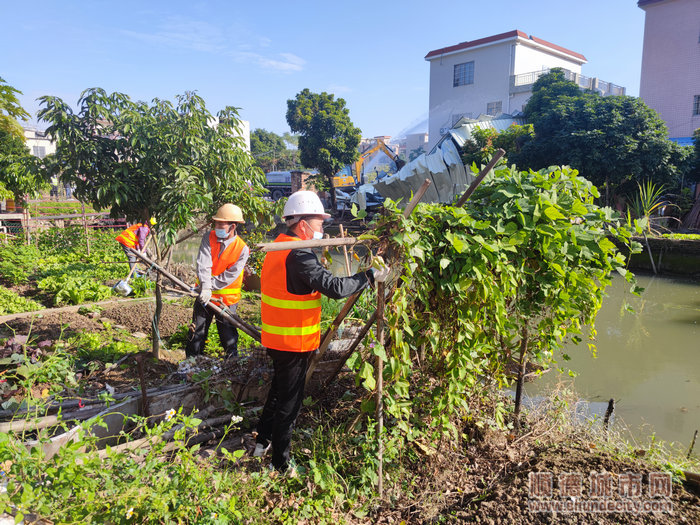 执法人员还对河涌两岸居民乱打乱建的农棚、花圃、杂物也进行了清除工作。.jpg