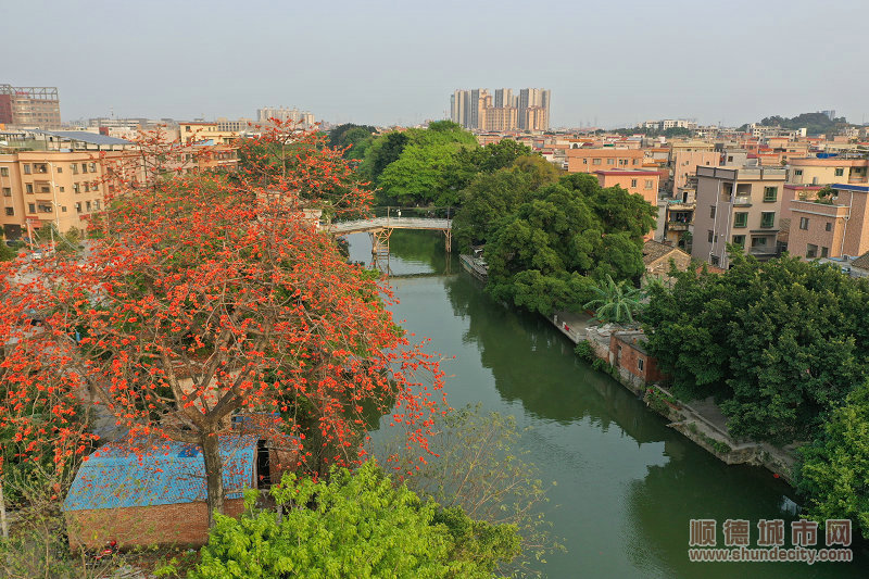 建设风景如画的龙江。（李海廉摄）.jpg