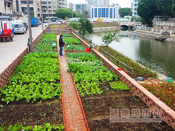 银涌河沿岸建成的“四小园”。.jpg