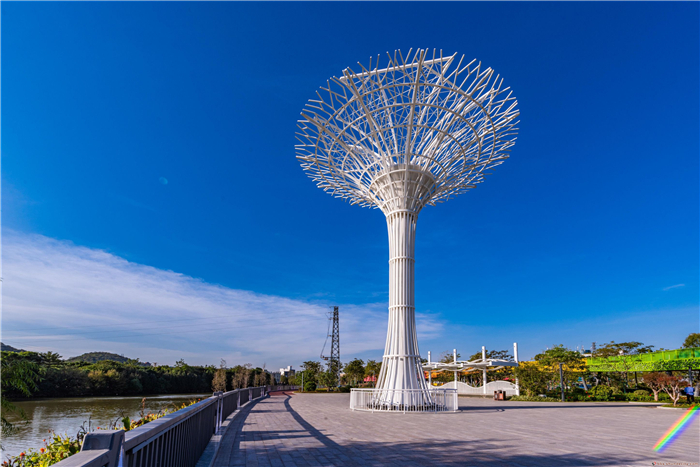 水乡春意闹 | 陈村：全新水世界，迎来幸福年