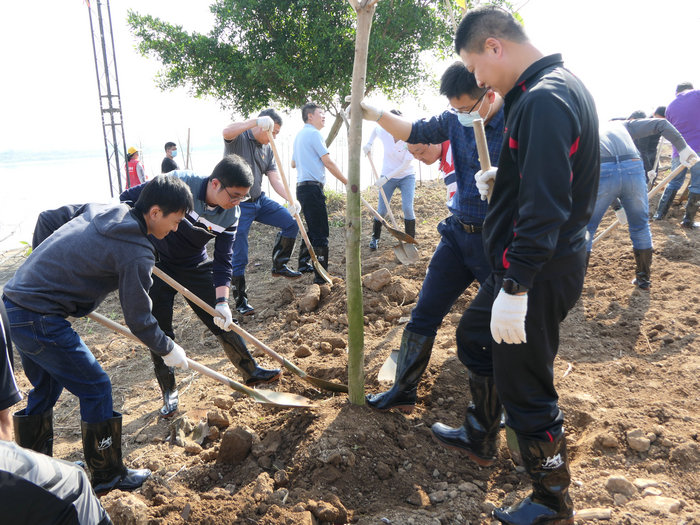 经过一个小时的努力，204株新树苗落户均安。.jpg