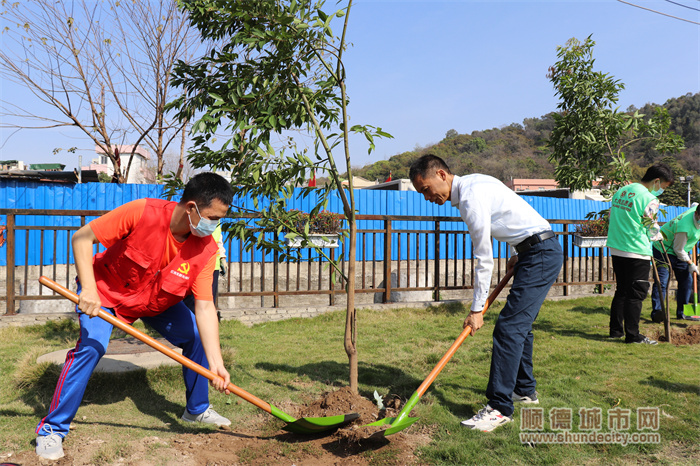 党员、团员青年志愿者齐参与。.jpg