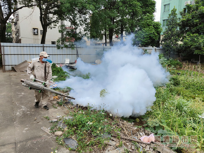 “除四害”专业队对市场周边进行整治.jpg