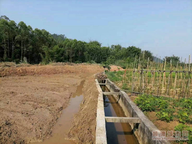 土地重新整理并通水。.jpg