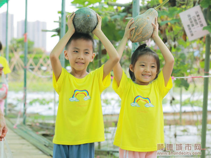 孩子们采摘香芋南瓜。.jpg