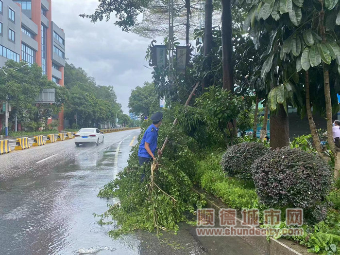 鉴海路与凤山口交界红绿灯附近3_副本.jpg