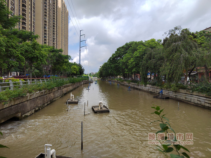 南霞涌经过整治提升，水质明显改善.jpg