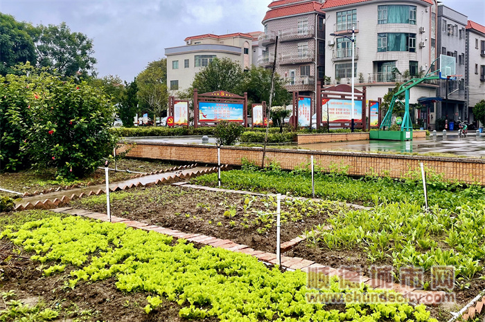 房前屋后的“四小园”成为群众家门口别致风景（均安镇新华社区供图）.jpg