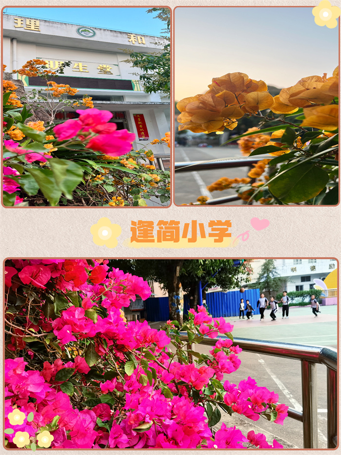 逢简小学.jpg