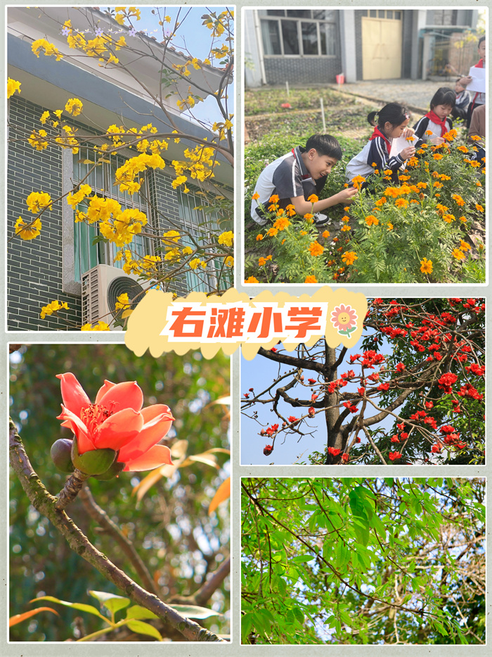 右滩小学.jpg