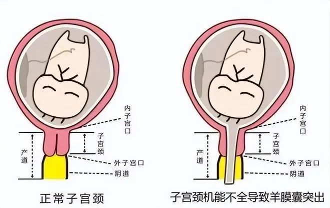 微信图片_20230320102103.png