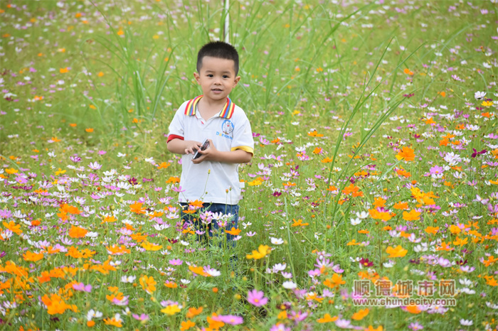 20230424 乌洲水闸 花 老牛6.jpg