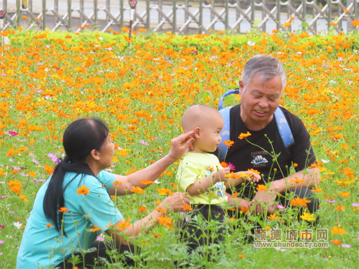 20230424 乌洲水闸 花 老牛2.jpg