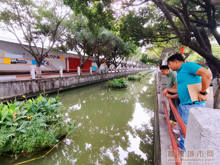 大众评审现场调研，对河涌进行打分并建言献策。 (2).jpg