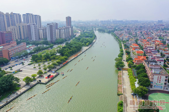 伦教大涌（阳光与鹿）.jpg