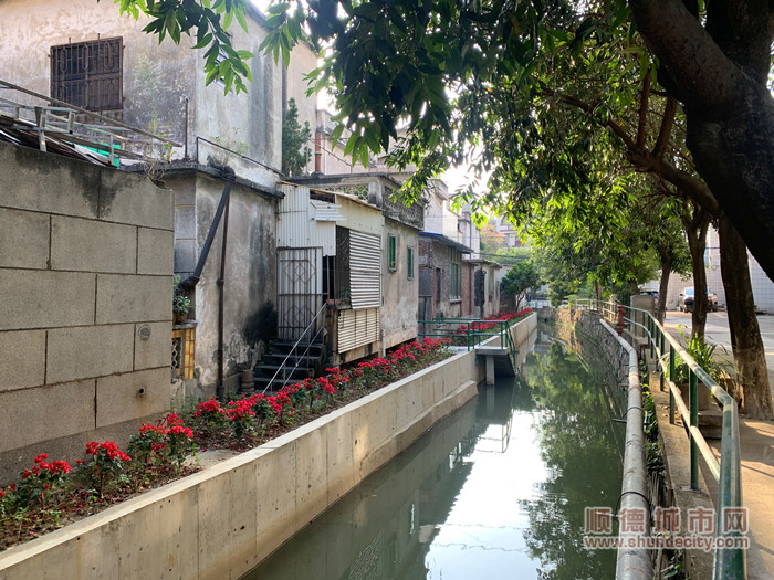 污水管网埋在花圃里，美观实用。.jpg