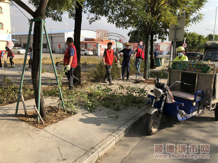 镇农办与南沙社区合力清除路边杂草。.jpg