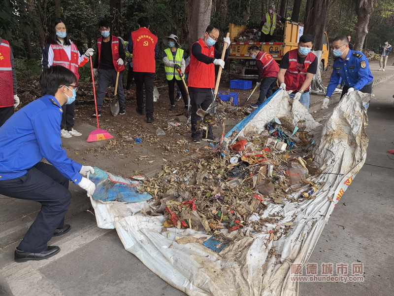 设计城城乡环境大清扫2_副本.jpg