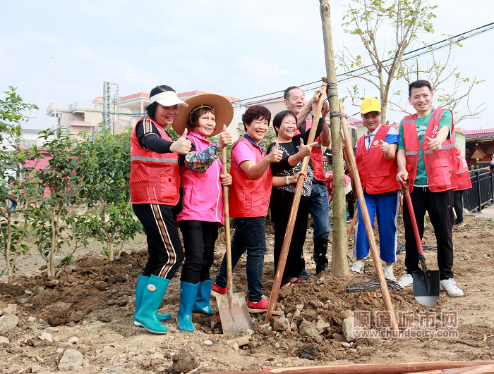 老干部参与植树活动，助力绿美顺德建设。.jpg